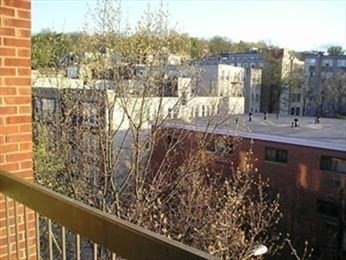 2 beds, 2 baths, 1,030 sqft, $3,800, Unit 304