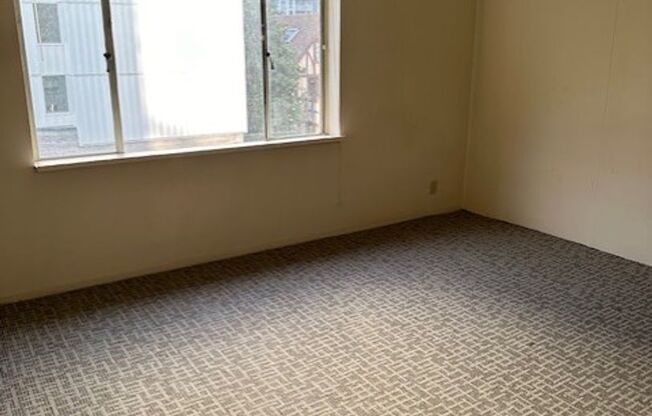 Studio, 1 bath, 348 sqft, $1,197, Unit 306B