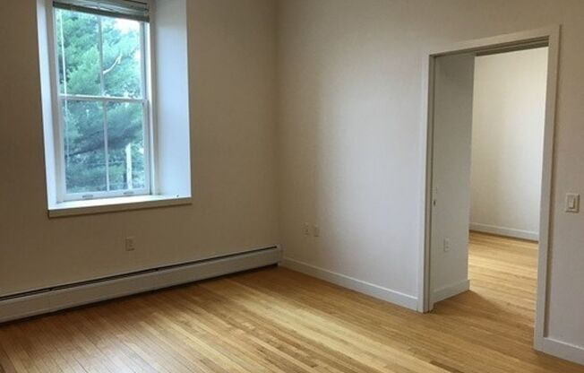 1 bed, 1 bath, 535 sqft, $1,975, Unit 202