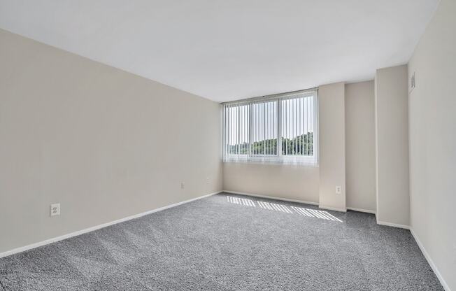 the living room of an apartment with carpet and a window