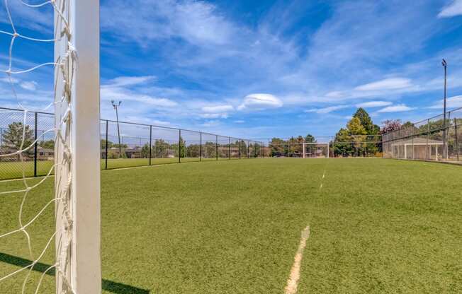 A soccer field with a goalpost on the left side.