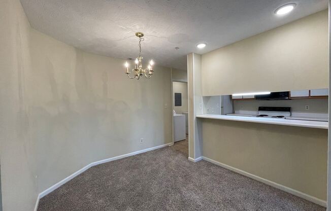 224 Waterdown Dr Apt 1