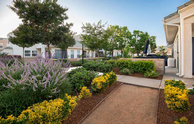 A garden with a pathway and yellow flowers.