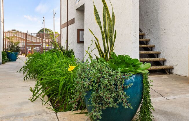 Studio, 1 bath, 420 sqft, $2,035, Unit 44