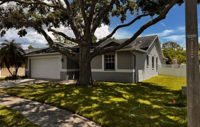 Available Now! Absolutely gorgeous 3 bedroom + bonus room single family home!