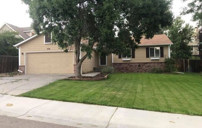 Bright 3 Bed, 2 Bath, Ranch-Style Home in South Fort Collins!