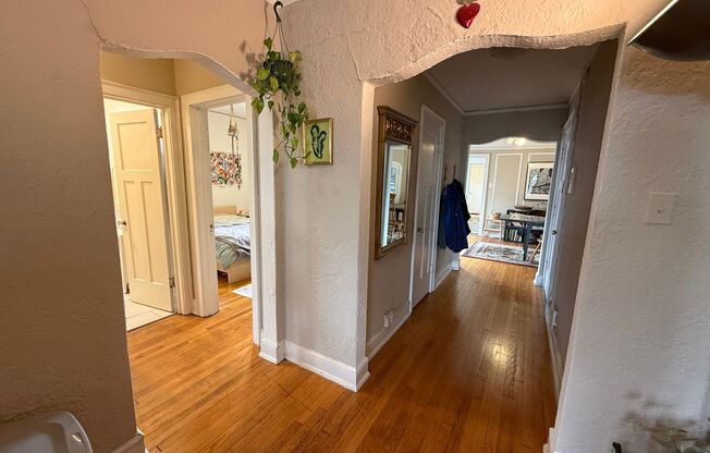 2562 Prospect