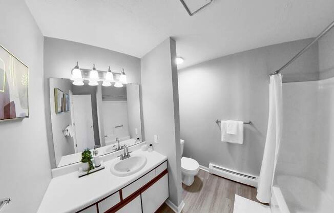 a bathroom with a sink and a shower and a toilet