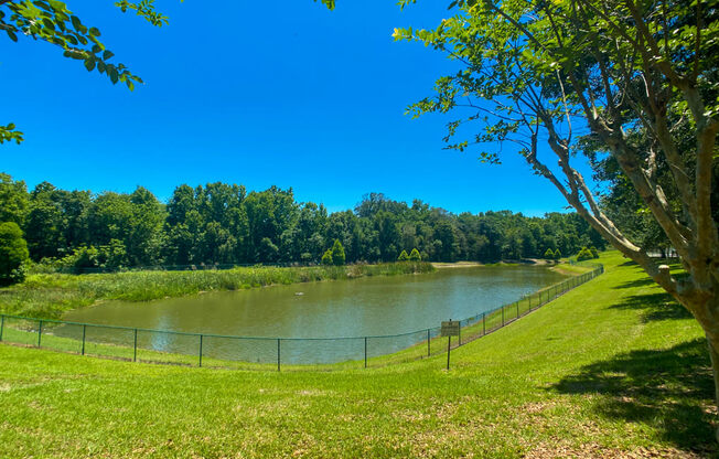 Lake views surrounded by native landscaping