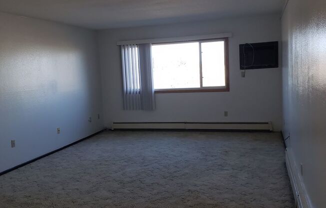 2 beds, 1 bath, $800, Unit 22