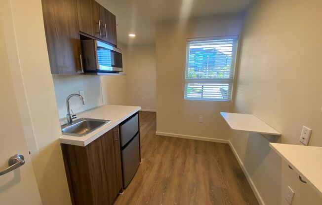 Studio, 1 bath, 175 sqft, $1,250, Unit 214