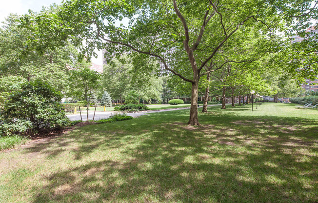 1 bed, 1 bath, 486 sqft, $3,850, Unit 16F