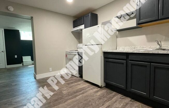 Studio, 1 bath, 450 sqft, $650