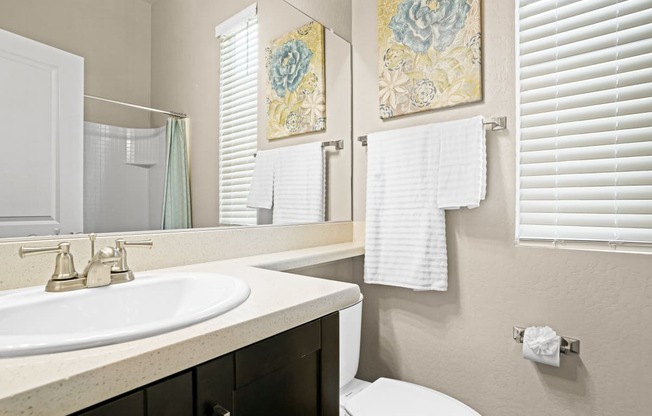 a bathroom with a sink and a mirror and a toilet