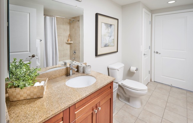 Newly Renovated Bathroom With Updated Lighting and Plumbing Fixtures