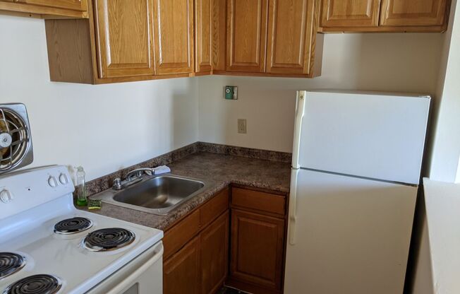 Studio, 1 bath, 300 sqft, $1,400, Unit 1J