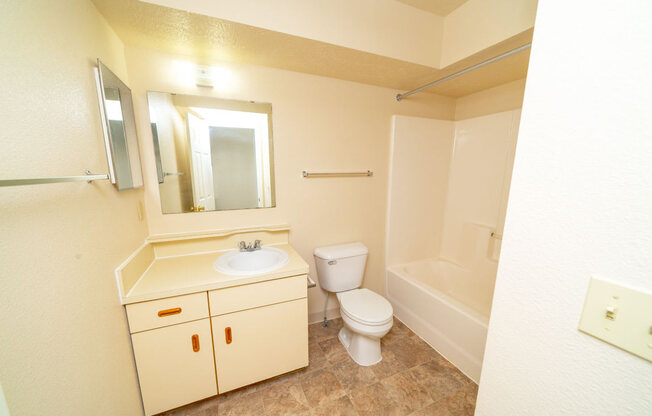 Main, Full Bathroom at Trillium Pointe Apartment Homes in Jackson, MI