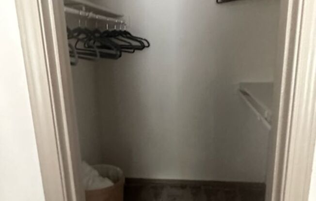 Studio, 1 bath, $1,180, Unit 1338