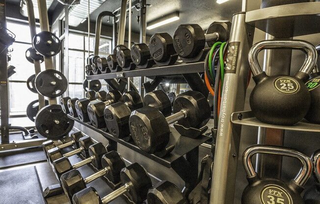 A gym with a rack of dumbbells and kettlebells.