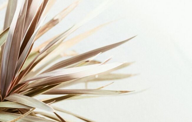 2 beds, 1 bath, 850 sqft, $1,134, Unit 0141