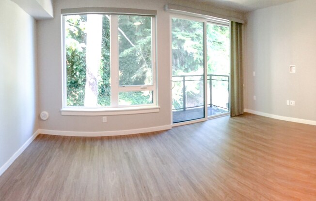 1 bed, 1 bath, 570 sqft, $2,295, Unit 419