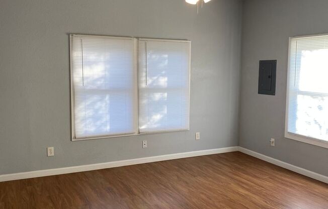 419 W MISTLETOE