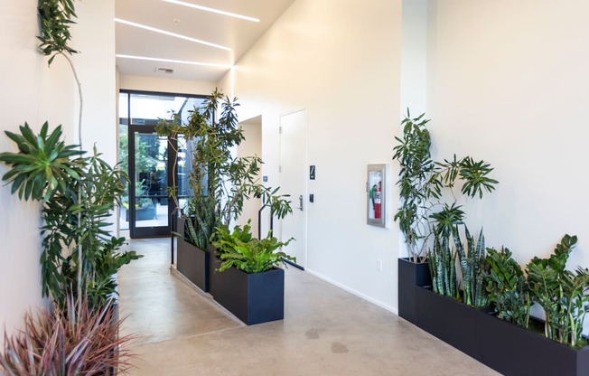 a hallway with white walls and plants in black planters at Analog PDX Apartments, Portland, OR