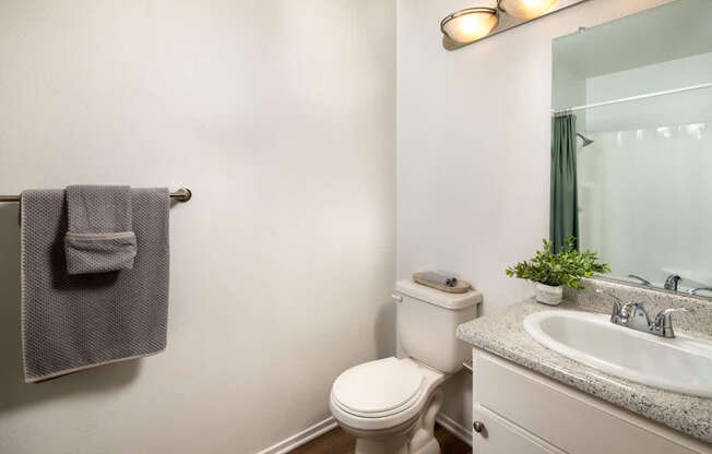 A bathroom with a toilet, sink, and a towel rack.