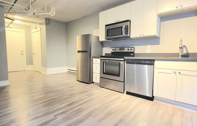 Studio, 1 bath, 275 sqft, $1,300, Unit B4