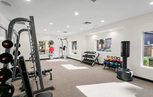 a gym with weights and other equipment in a home with