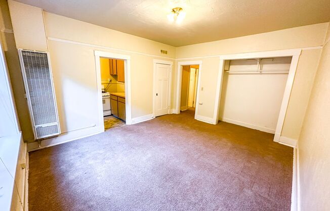 Studio, 1 bath, 450 sqft, $1,295, Unit 003
