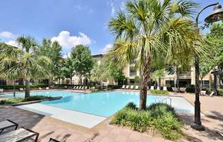 A pool surrounded by palm trees and plants.