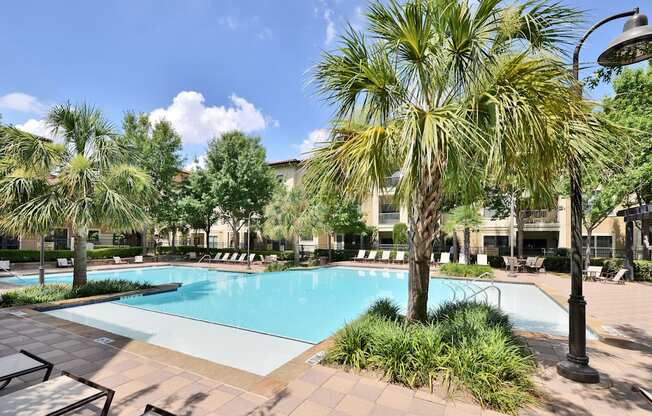 A pool surrounded by palm trees and plants.