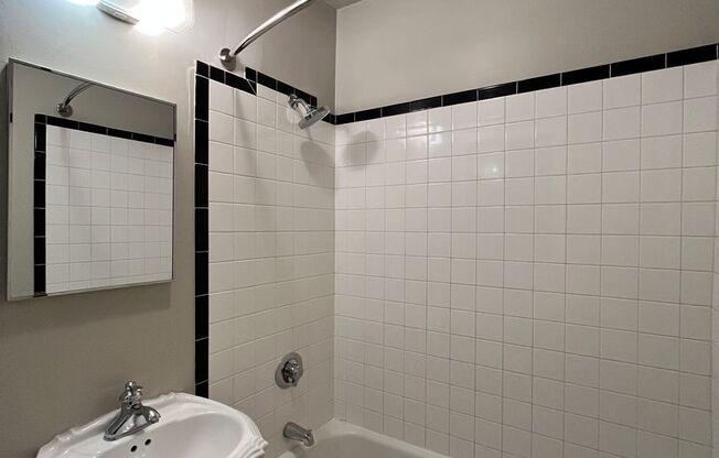 Studio, 1 bath, $1,195, Unit 205