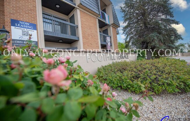 2 beds, 1 bath, 970 sqft, $1,325, Unit 37 PR