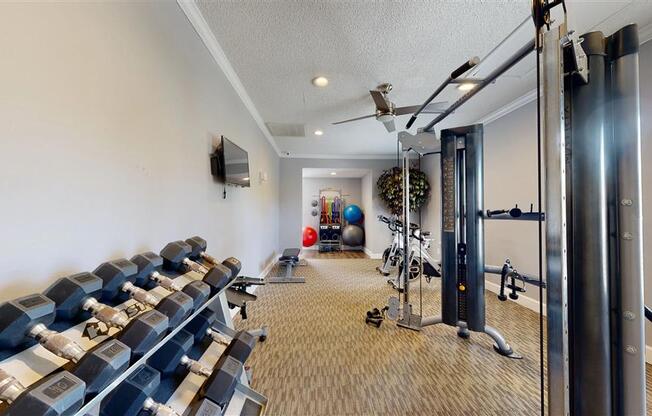 Free Weights at Vue on Medlock, Georgia, 30092
