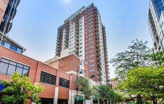 2BD/2BTH PENTHOUSE  WITH PRIVATE TERRACE IN SOUHT LOOP