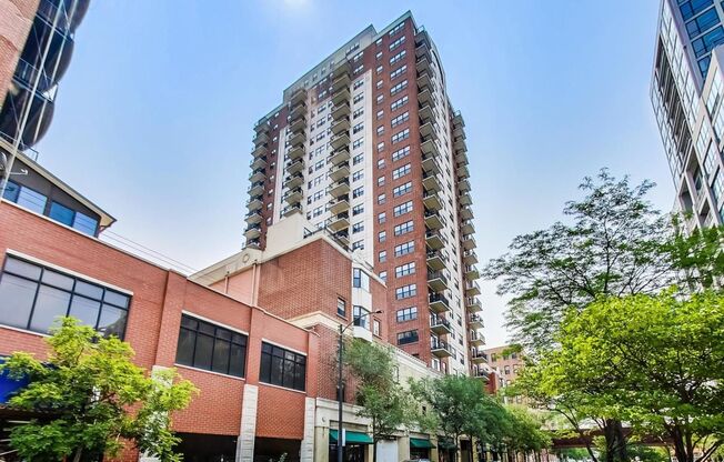 2BD/2BTH PENTHOUSE  WITH PRIVATE TERRACE IN SOUHT LOOP