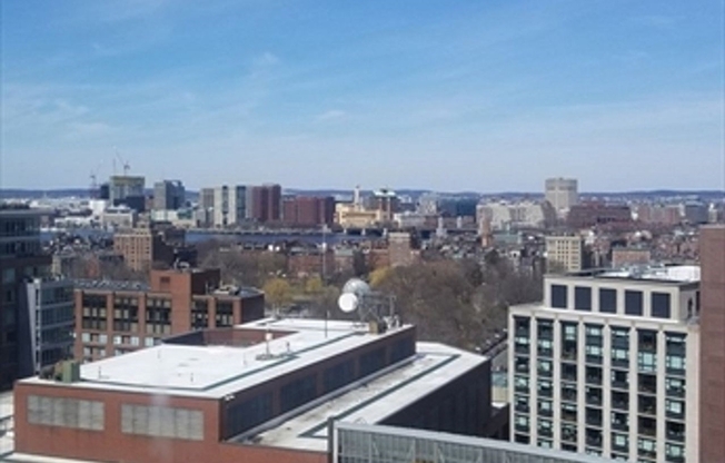 Studio, 1 bath, 427 sqft, $3,200, Unit 19-D