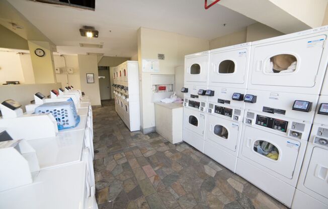 Studio, 1 bath, $1,900