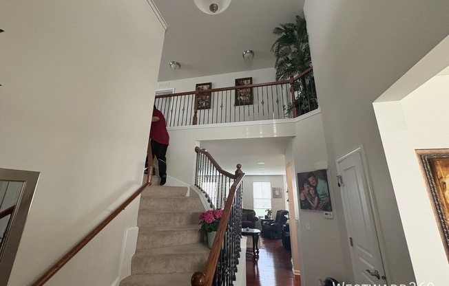 3439 Birch Lane