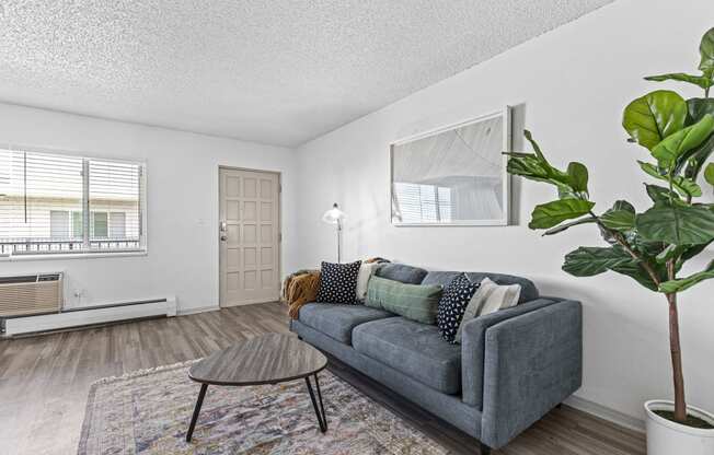 a living room with a couch and a coffee table