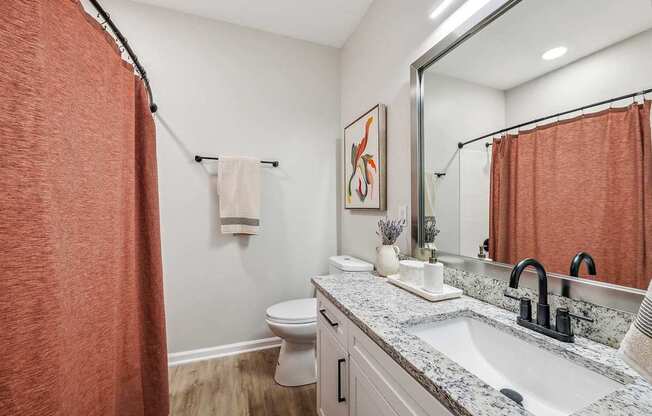 A bathroom with a toilet, sink, and shower curtain.