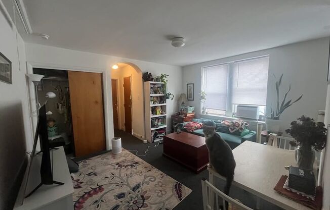 1 bed, 1 bath, 396 sqft, $1,095, Unit A106