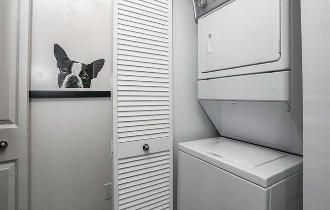 In-home washer & dryer at Oasis Shingle Creek in Kissimmee, FL