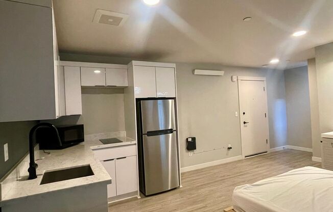Studio, 1 bath, 250 sqft, $1,150, Unit 205