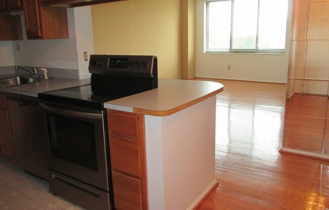 One Bedroom at Place One Condo in Alexandria