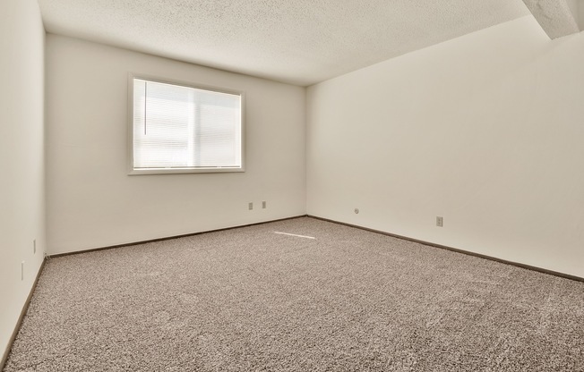 A room with a carpeted floor and a window.