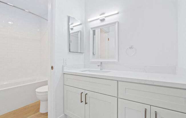 a bathroom with a sink and a mirror and a toilet