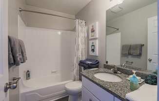 a bathroom with a sink and a shower and a toilet